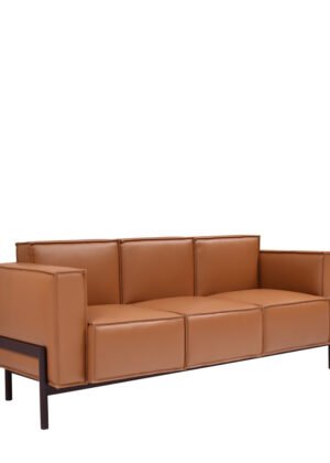 Amara Series
